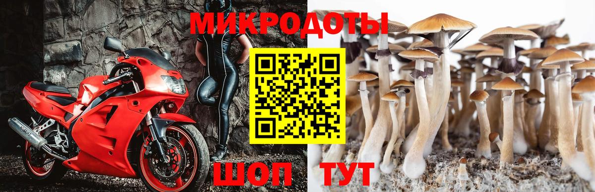 Галлюциногенные грибы MAGIC MUSHROOMS Анжеро-Судженск