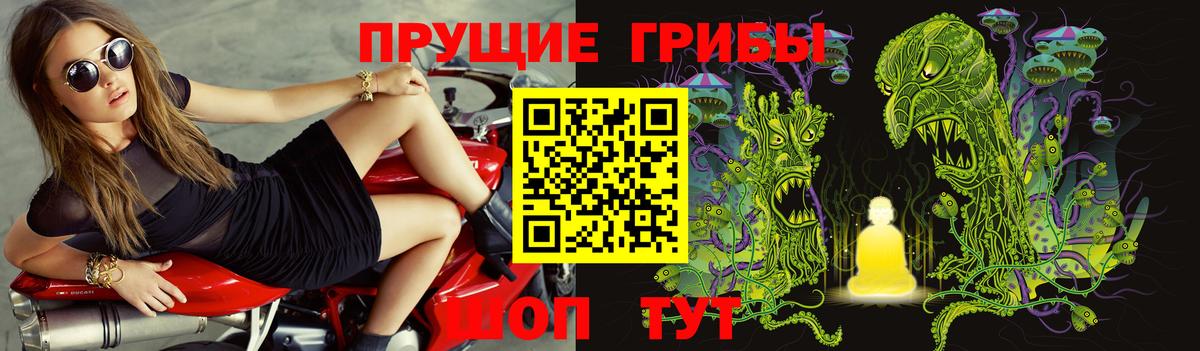 Галлюциногенные грибы Cubensis  Вход с VPN  Анжеро-Судженск 