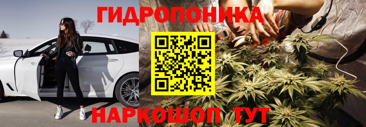 Каннабис план  МАРИХУАНА семена  Бошки Шишки Amnesia  Вход с VPN  Анжеро-Судженск  Шишки марихуана гибрид 